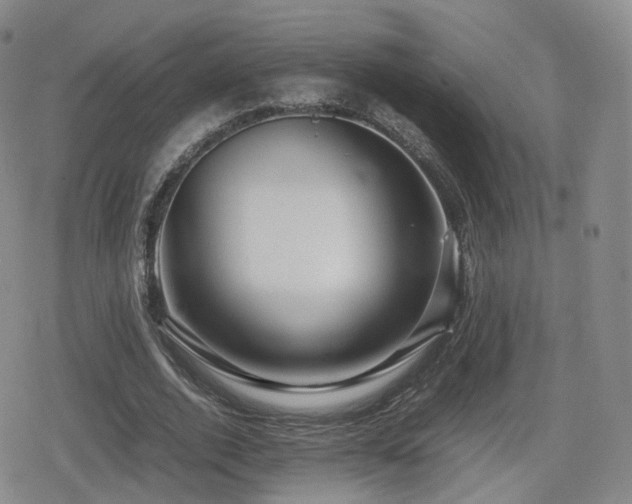 X0000080160728200612081334