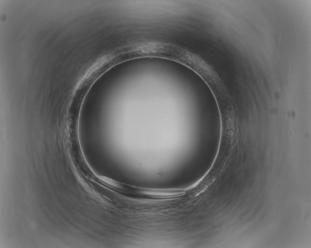 X0000080160730200612081334