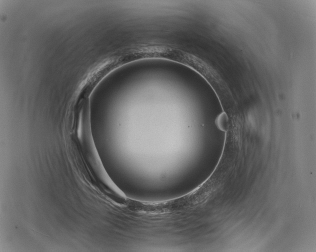 X0000080160731200612081335