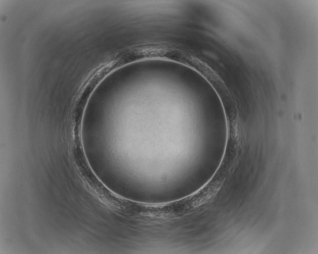 X0000080160733200612081335