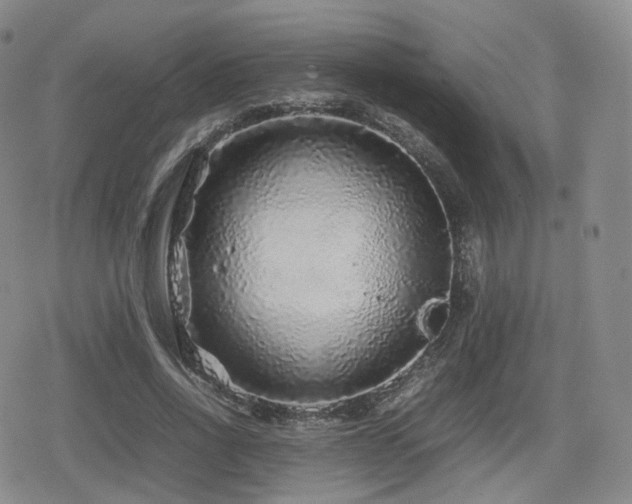 X0000080160734200612081335