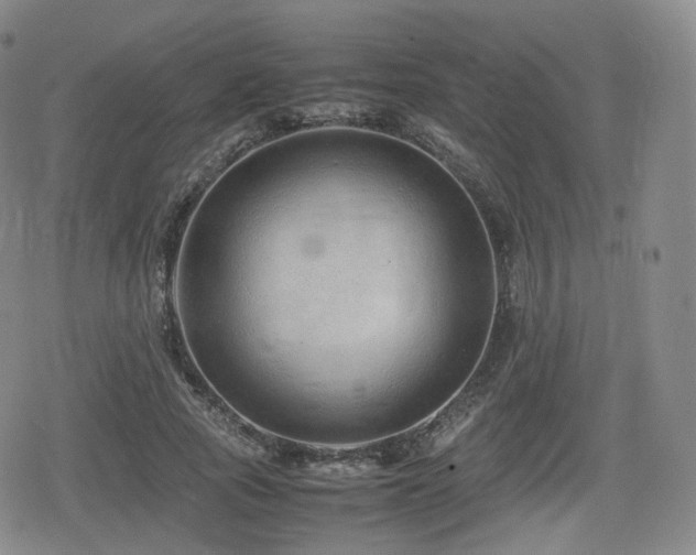 X0000080160737200612081335
