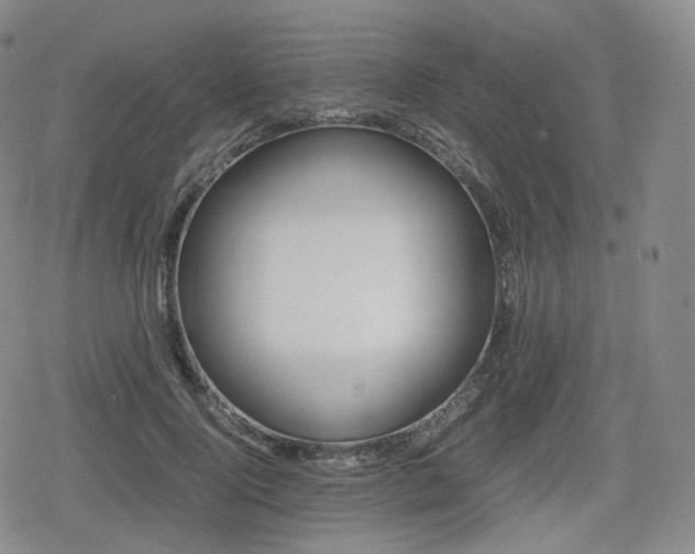 X0000080160740200612081335