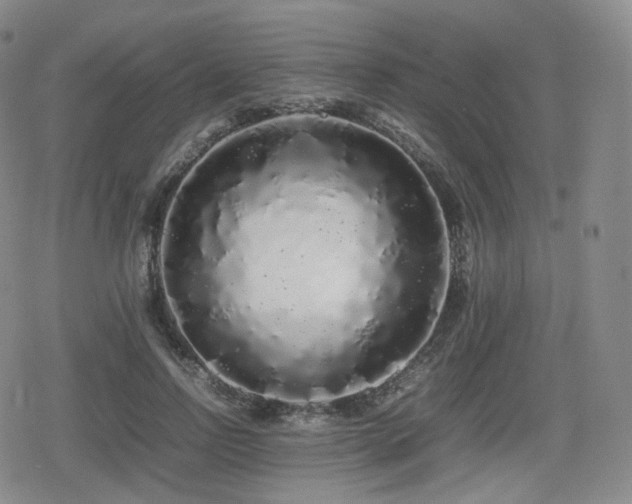 X0000080160742200612081335