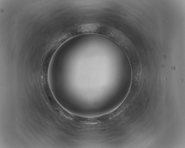 X0000080160743200612081335