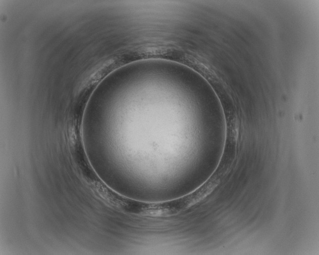X0000080160746200612081335