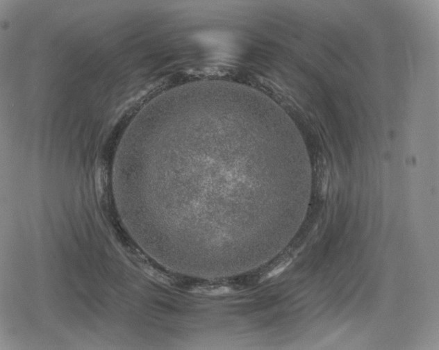 X0000080160747200612081335