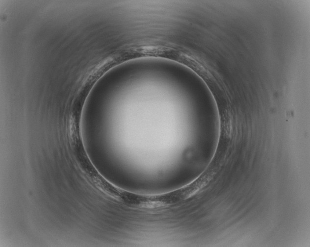 X0000080160748200612081335