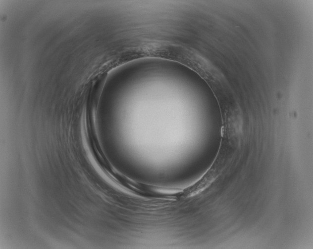 X0000080160750200612081335