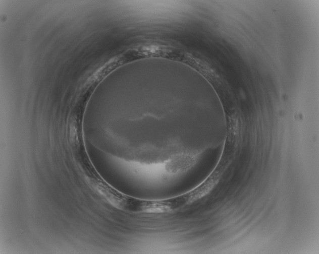 X0000080160754200612081335