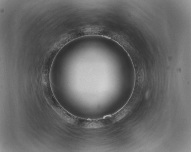X0000080160755200612081335