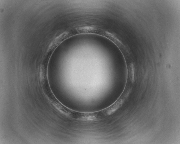X0000080160760200612081335