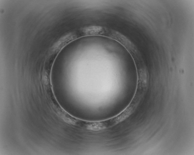 X0000080160761200612081335