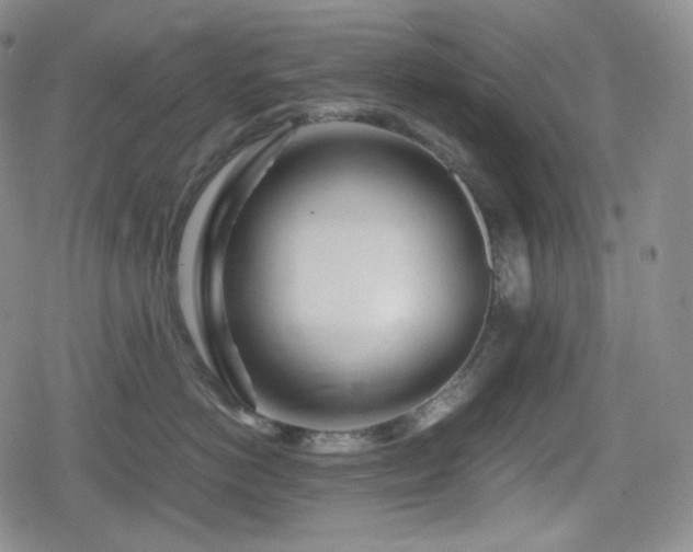 X0000080160766200612081335