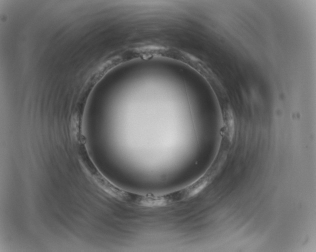 X0000080160767200612081335