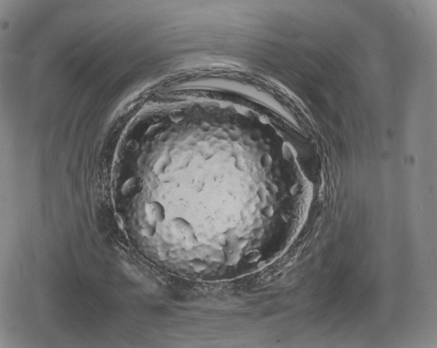 X0000080160775200612081334