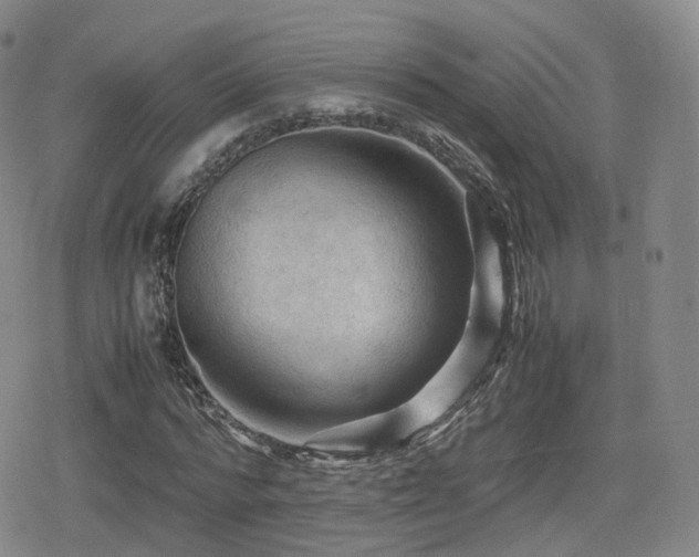 X0000080160776200612081334