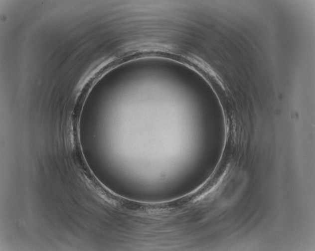 X0000080160782200612081334