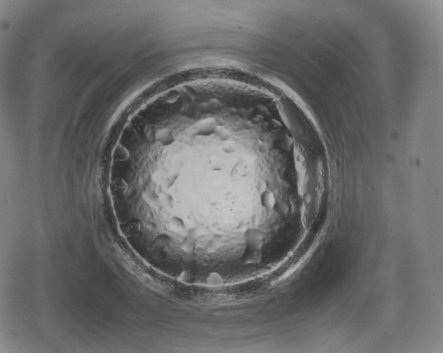 X0000080160783200612081334