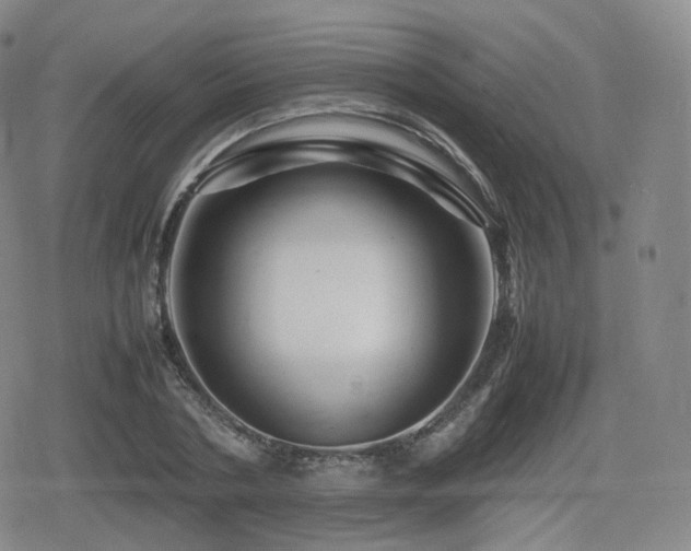 X0000080160786200612081334