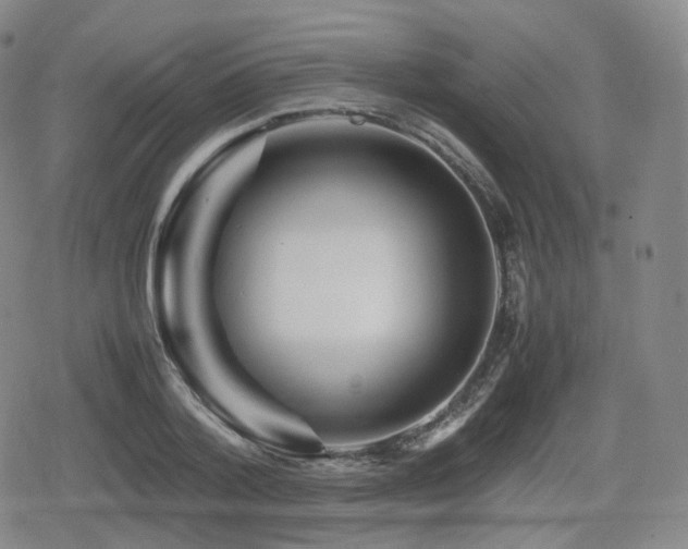 X0000080160788200612081334