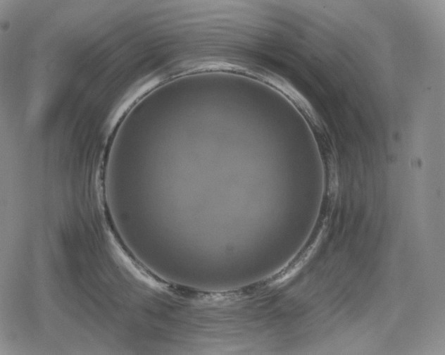 X0000080160806200612081334