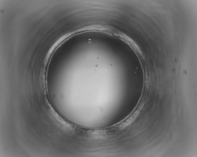 X0000080160808200612081334