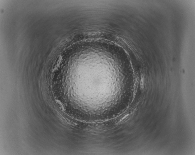 X0000080160817200612081333