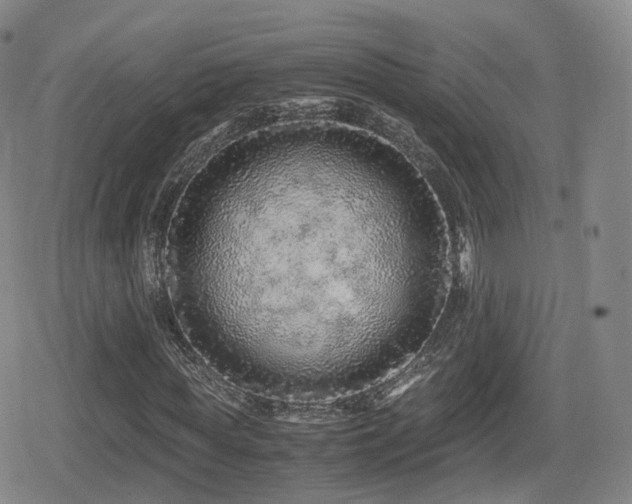 X0000080160819200612081333