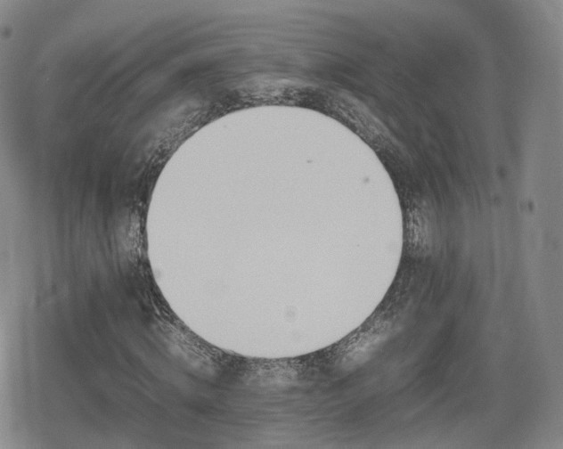 X0000080160820200612081333