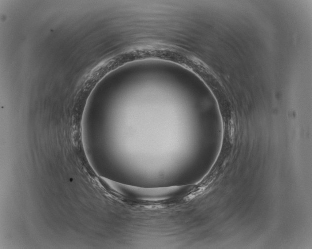 X0000080160822200612081333