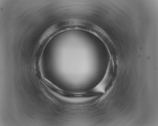 X0000080160826200612081333