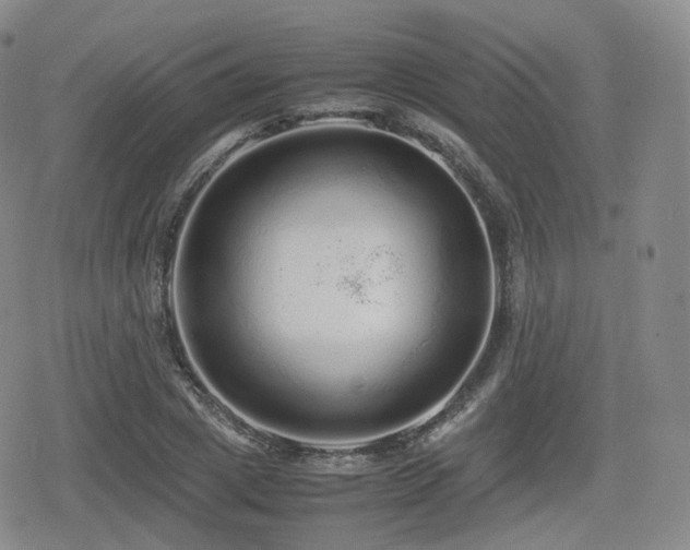 X0000080160833200612081333