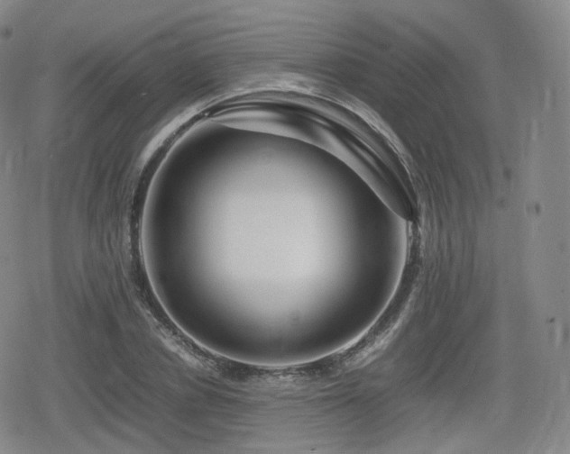 X0000080160834200612081333