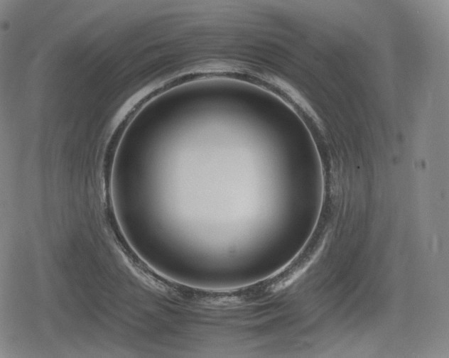 X0000080160837200612081333