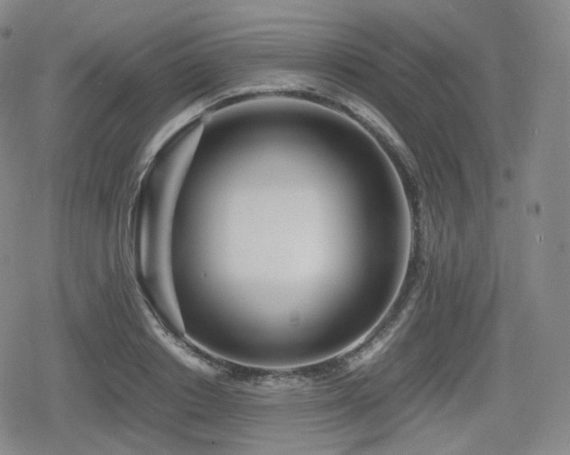 X0000080160842200612081333