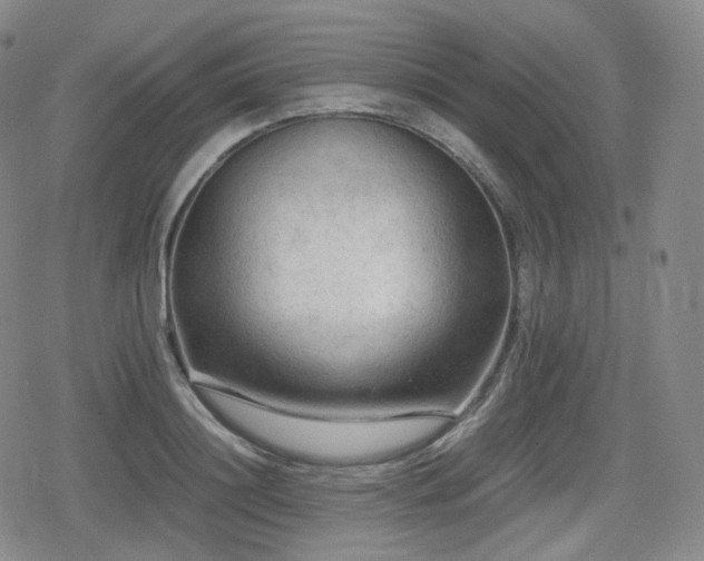 X0000080160844200612081333