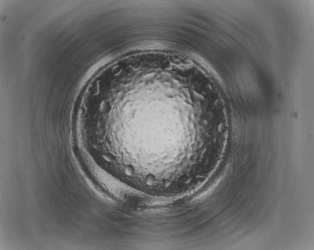 X0000080160845200612081333