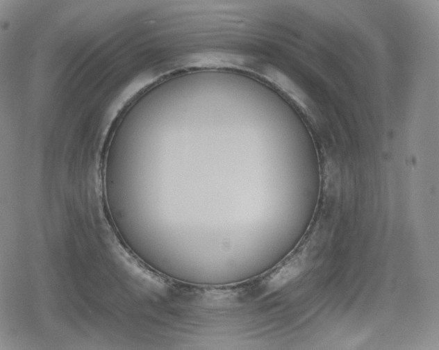 X0000080160848200612081333