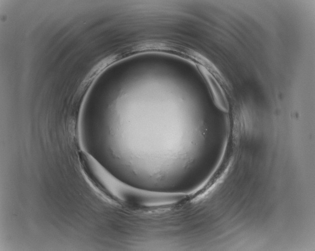 X0000080160849200612081333