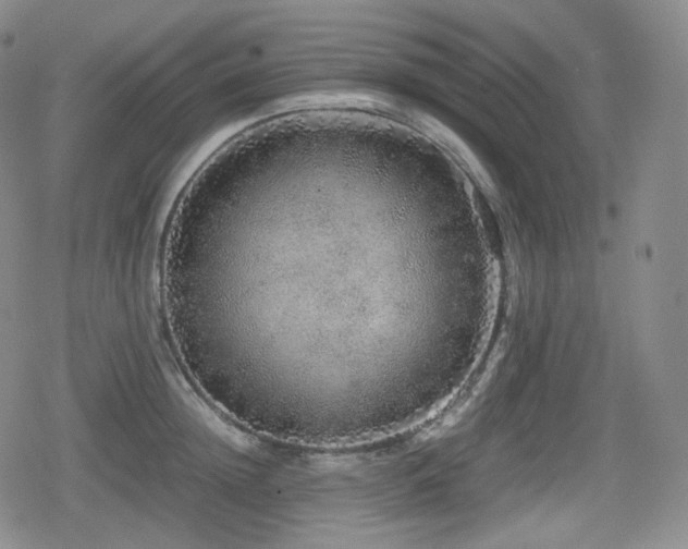 X0000080160852200612081333