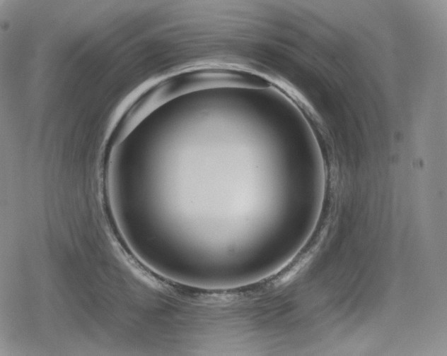 X0000080160854200612081333