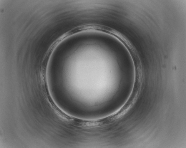 X0000080160857200612081333