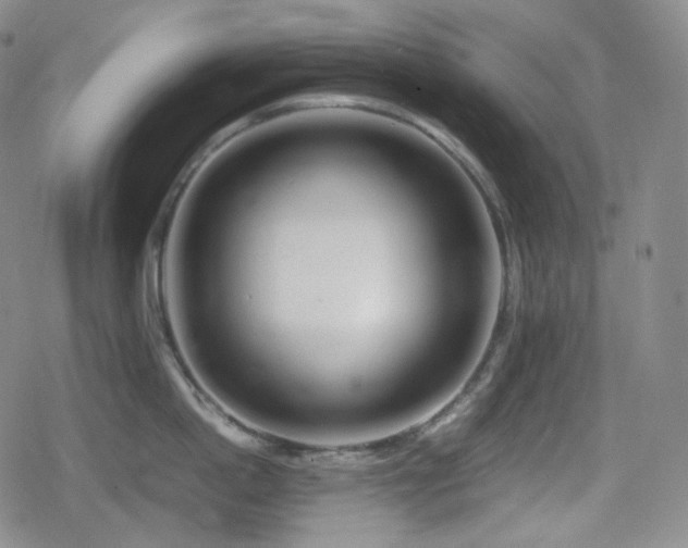 X0000080160862200612081334