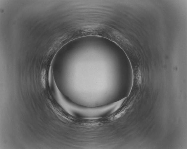 X0000080160868200612081333
