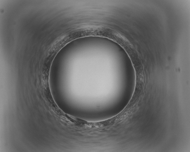 X0000080160869200612081333