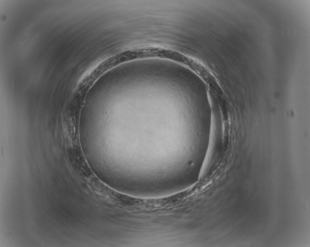 X0000080160871200612081333