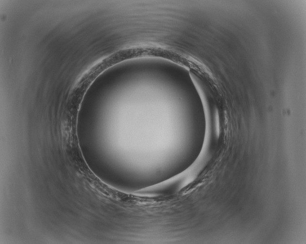 X0000080160872200612081333