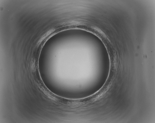X0000080160873200612081333