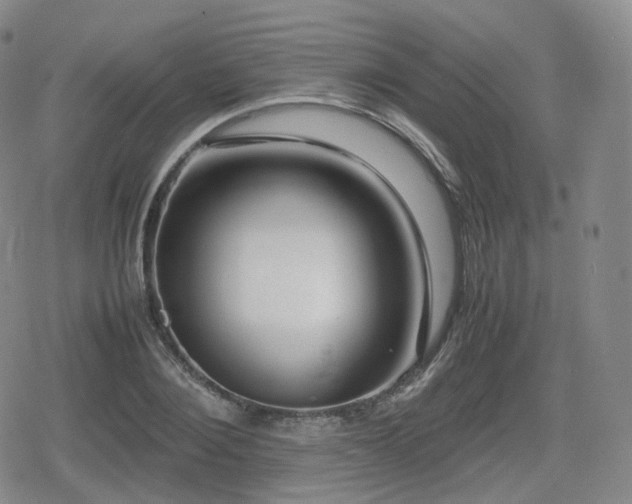 X0000080160884200612081332